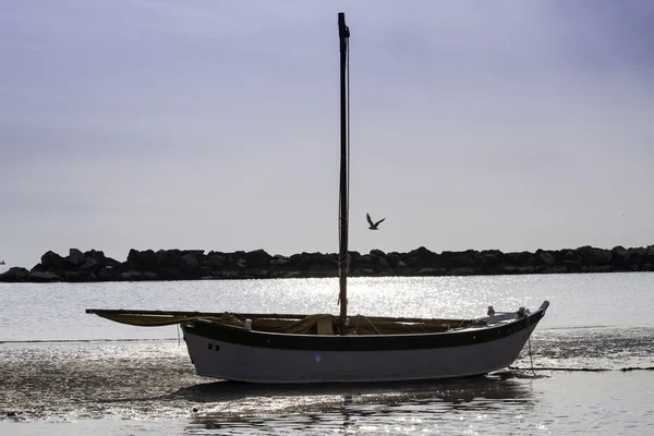 Traditional sailing boat in dry, low tide, Adriatic Italy — Stock Photo, Image