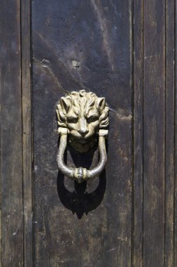 Antik Bronz kapı tokmağı detay ahşap kapı