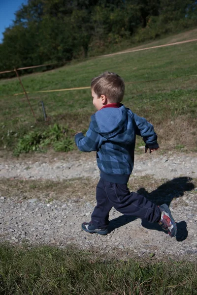 Ребенок в синей свитерке — стоковое фото