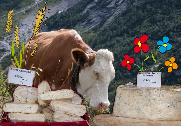 Kompozycja krowy i serów — Zdjęcie stockowe