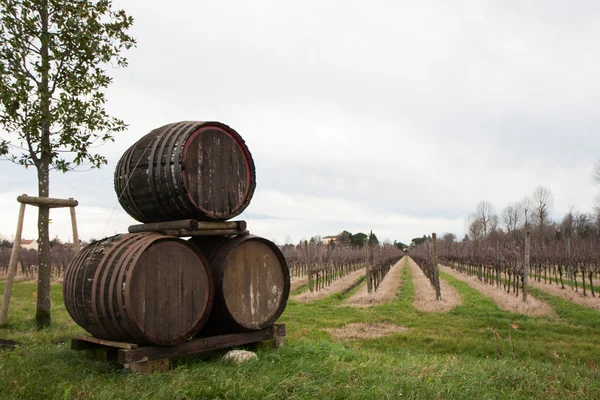 Tres barricas de vino — Foto de Stock
