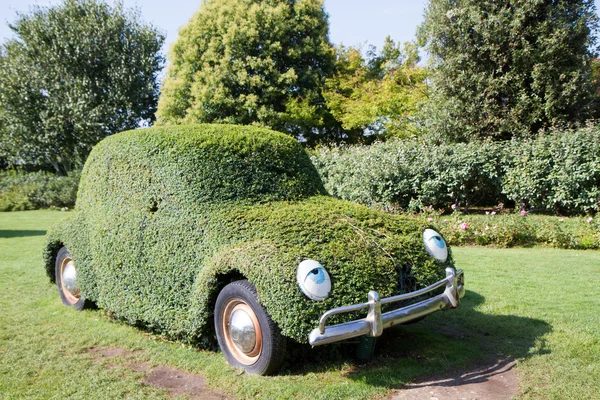 Beetle bil täckt av murgröna — Stockfoto