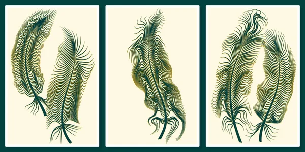 Plumas Oro Verde Pared Arte Vector Conjunto Para Arte Pared — Vector de stock