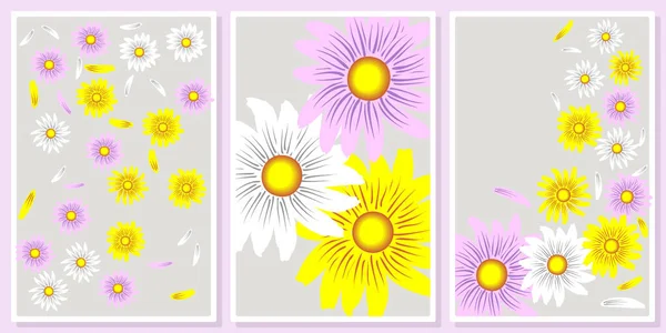 Weiße Rosa Und Gelbe Gänseblümchen Wandkunst Vektor Set Für Wandkunst — Stockvektor