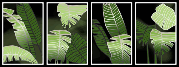 Marcos Con Hojas Grandes Plantas Tropicales Dibujo Mano Colores Naturales — Vector de stock