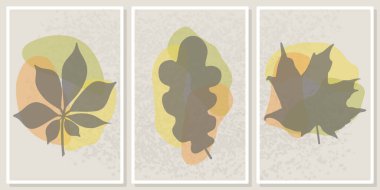 Farklı sonbahar yapraklarının siluetleri ile çerçeveler - duvar çerçeveli baskılar, tuval baskılar, poster, ev dekorasyonu için