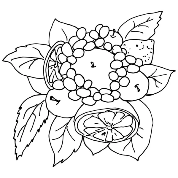 Vector Doodle Illustratie Van Zwart Fruit Boeket Omtrek Iolated Witte — Stockvector