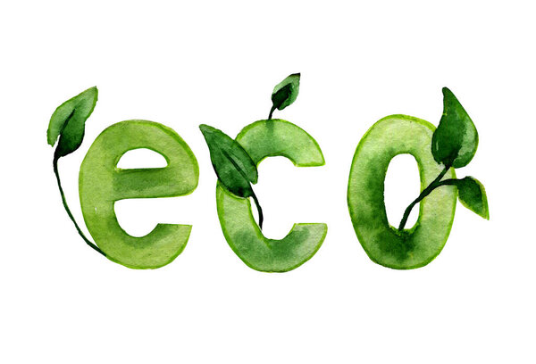 Watercolor illustration of a hand drawn word Eco of green color woth some leaves on white background as icon, logo or label, sticker design element.