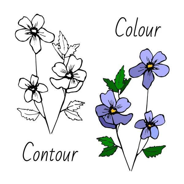 Drei blaue Blumen Vektor Doodle — Stockvektor