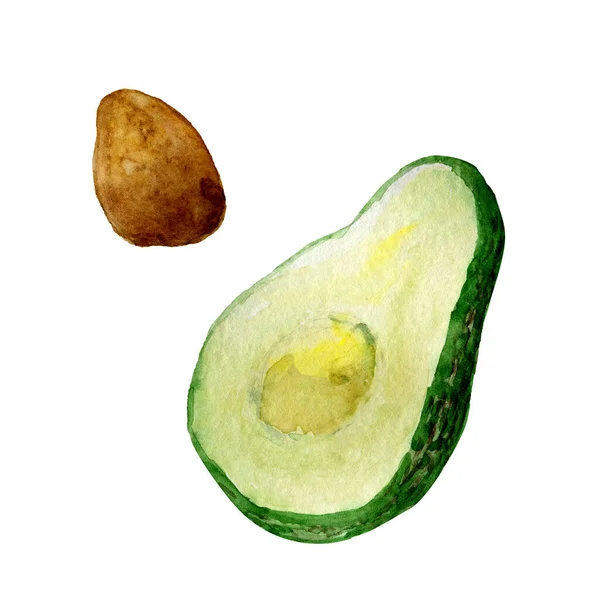 Een halve avocado en zijn zaad — Stockfoto