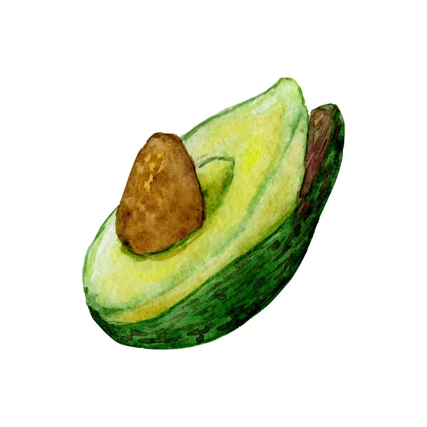 Aquarel Illustratie Van Hand Getekend Halve Avocado Geïsoleerd Witte Achtergrond — Stockfoto