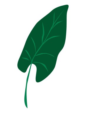 Soyut tropik yeşil yaprak el çizimi vektör simgesi EPS10