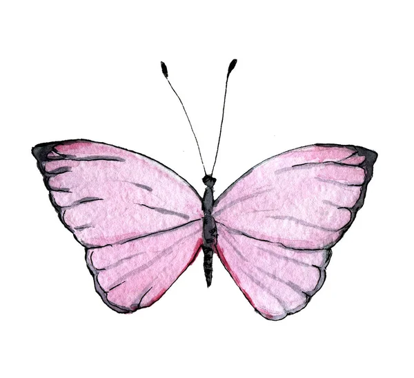 Mariposa Rosa Tropical Dibujada Mano Acuarela Clip Arte Aislado Sobre — Foto de Stock