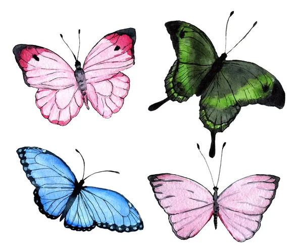 一组手绘水彩画的奇异昆虫 翅膀色彩艳丽 白色背景隔离 — 图库照片