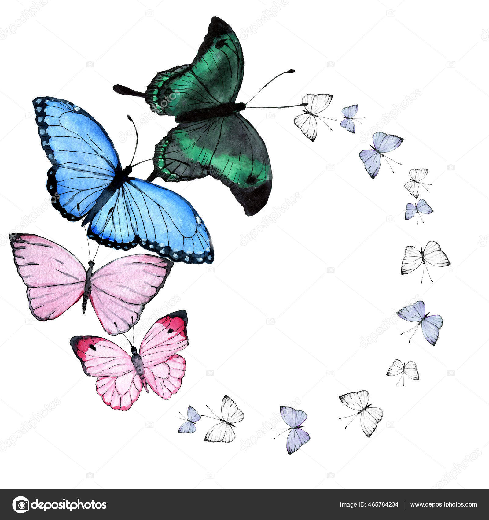 Illustration de Aquarelle papillons cadre rond design sur blanc
