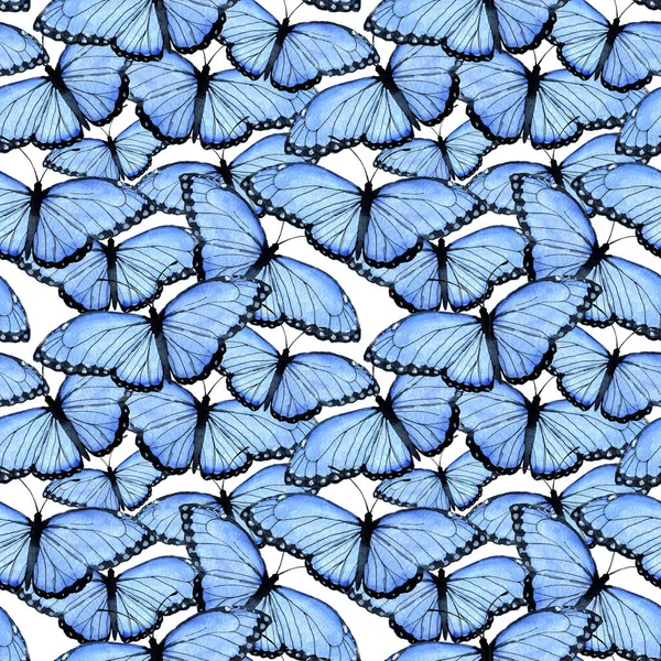 Blue Morphid motýli bezešvé akvarel vzor design — Stock fotografie