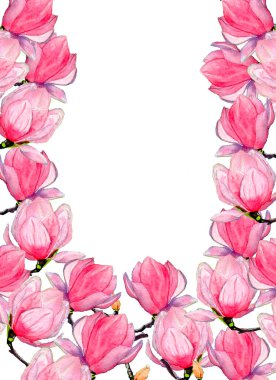 Manolya eli çiçekleri beyaz arkaplanda suluboya çerçeve tasarımı ile çizdi