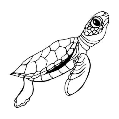 Deniz kaplumbağası eli siyah coutour karalama vektörü EPS10