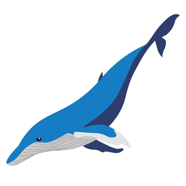 Abstract blue whale flat vector clip art