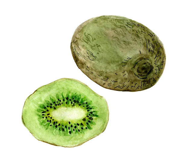 Kiwi Completo Rodajas Dibujado Mano Acuarela Clip Arte Aislado Fondo — Foto de Stock