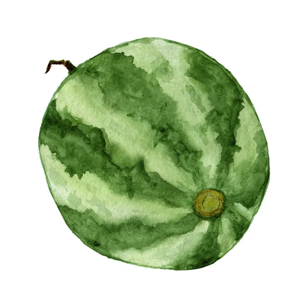 Reife Wassermelone Handgezeichnet Aquarell Clip Art Isoliert Auf Weißem Hintergrund — Stockfoto