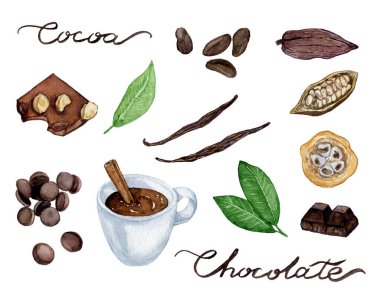 Kakao çekirdekleri ve çikolata suluboya seti