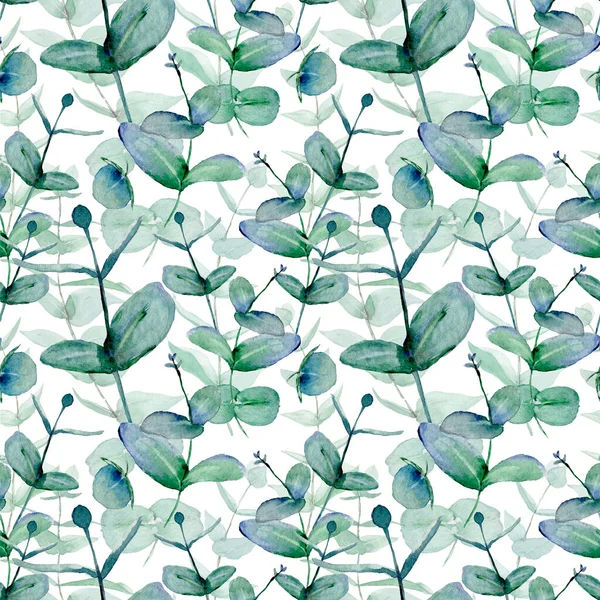 Zelené eukalyptové větvičky akvarel bezešvný vzor design — Stock fotografie