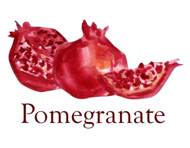 Olgun ponegranate elle çizilmiş suluboya klipsi beyaz arka planda izole edilmiş. Baskı, kartlar, tipografi için güzel bir tasarım. Dekorun etiket veya ögesi olarak kullanılabilir