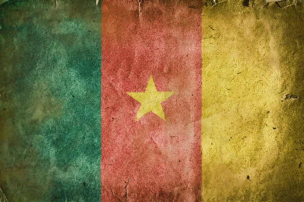 Bandiera del Camerun — Foto Stock