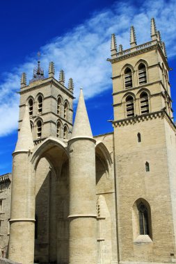 Saint Pierre Cathedral , Montpellier, France clipart