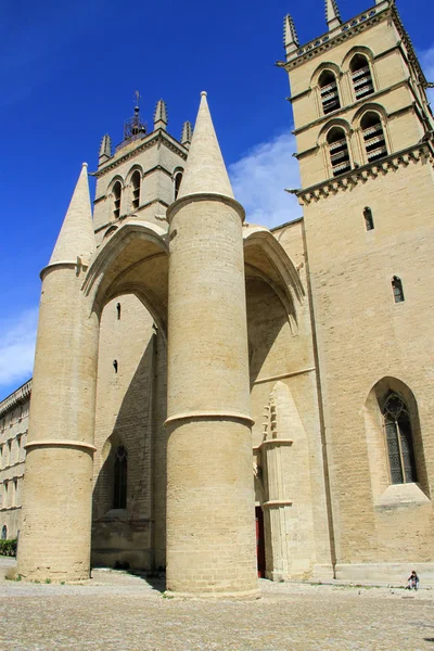 Saint-Pierre domkyrkan, montpellier, Frankrike — Stockfoto