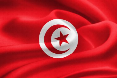 Flag of Tunisia clipart
