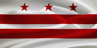 district of columbia bayrağı