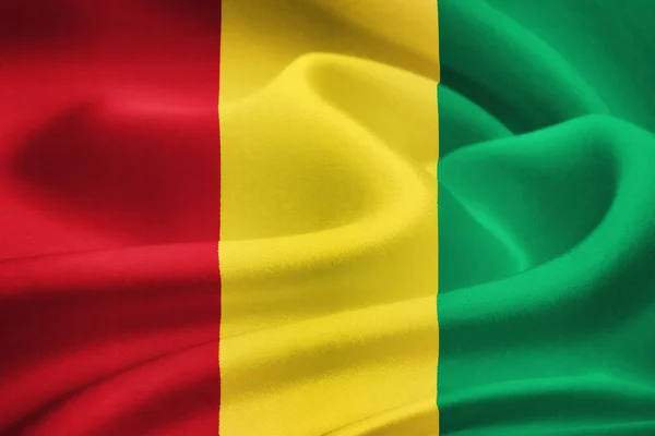 गिनी का ध्वज — स्टॉक फ़ोटो, इमेज