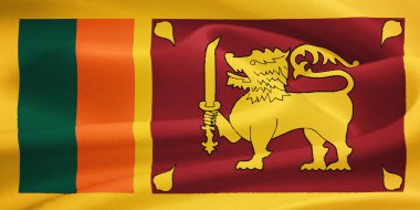 sri lanka bayrağı