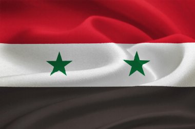 Flag of Syria clipart