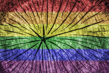 gay Gökkuşağı bayrağı
