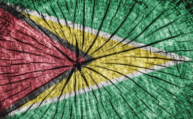 Guyana Bayrağı