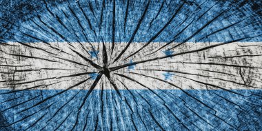Honduras Bayrağı