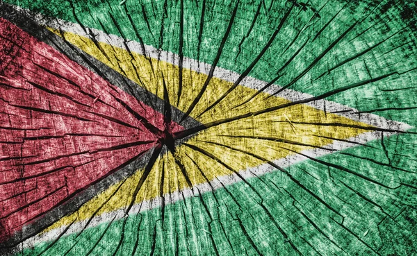 Guyana Bayrağı