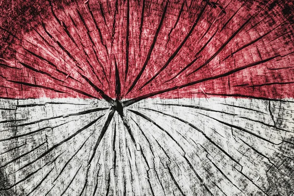 Bandera de Indonesia —  Fotos de Stock