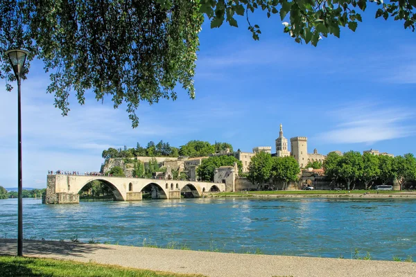 Avignon'ın Köprüsü ve Papalar Sarayı — Stok fotoğraf