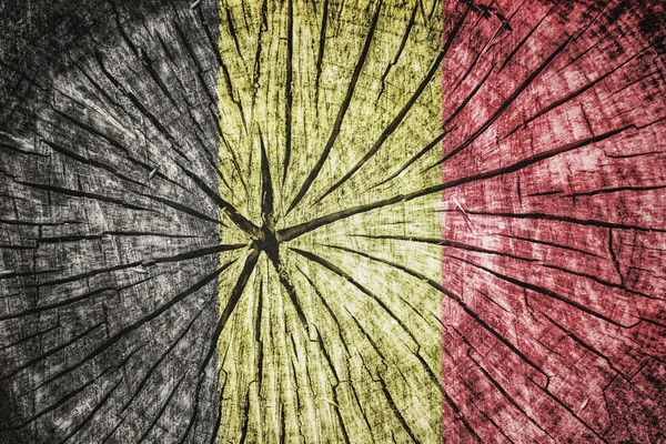 Flag of  Belgium — Stock Photo, Image