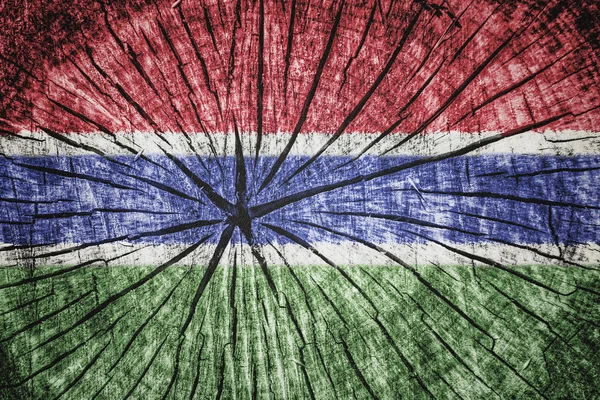 Bandera de Gambia — Foto de Stock