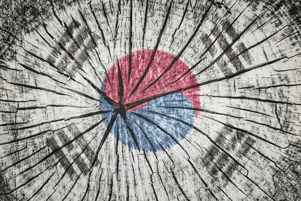 Flag of  South Korea — Stock Photo, Image