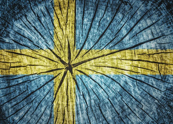 Flag of Sweden — Stock Photo, Image