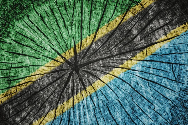 Bandeira de tanzania — Fotografia de Stock