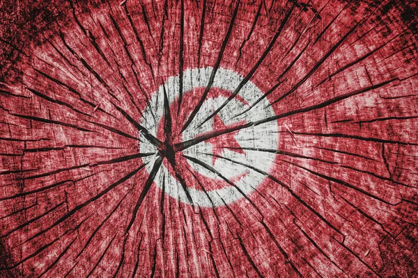 Flag of  Tunisia — Stock Photo, Image
