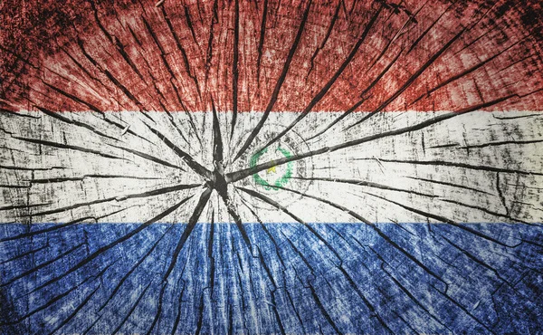 Flagge Paraguays — Stockfoto