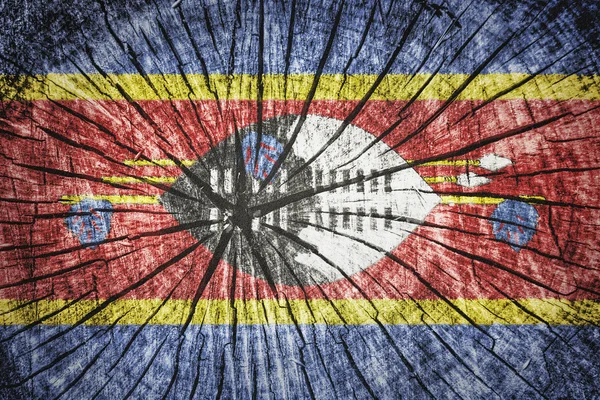 Vlag van swaziland — Stockfoto